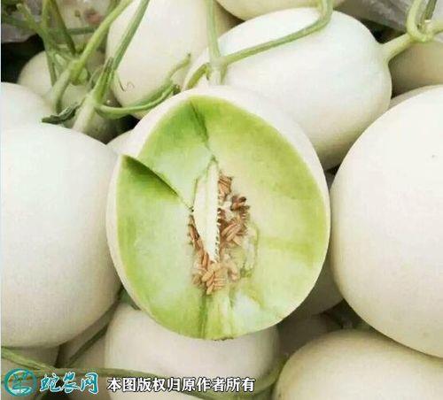 网络词语香瓜什么意思
