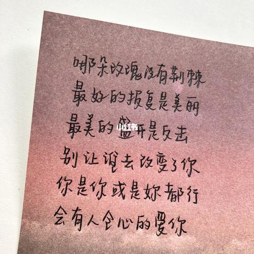 五月天玫瑰少年歌词大意