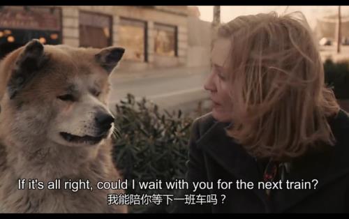 八公的故事原型