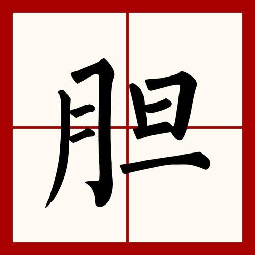 胆什么如什么
