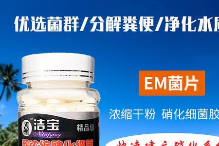 硝化细菌会挥发么