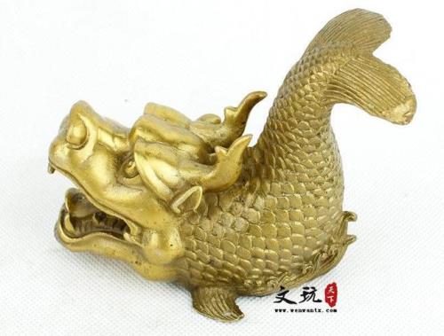 龙头鱼代表了什么