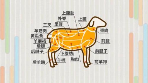 羊肉卷用哪个部位