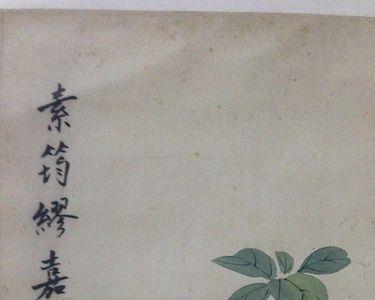 缪筠读音