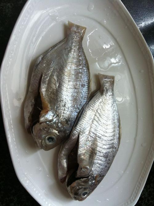 不要油的海鱼