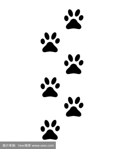 小猫画什么脚印一年级