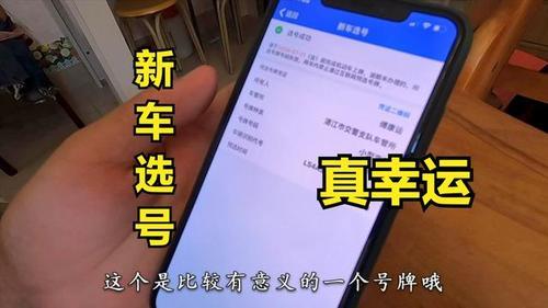 12123选牌后多久能拿到车牌