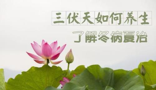 伏天用常温自来水洗澡好吗