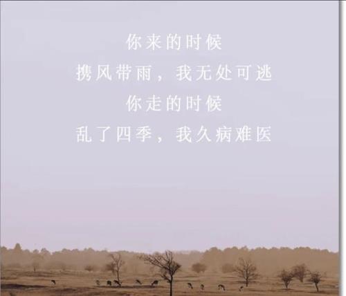 相爱不容易的句子