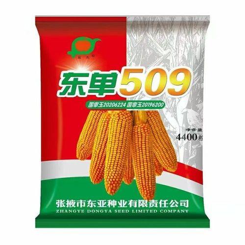 东单1572玉米种子介绍
