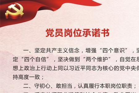 公开承诺事项怎么写