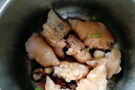 炖猪肘子放什么调料