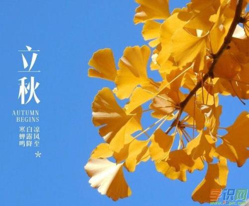立秋一天太阳多远