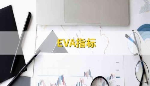 eva指标的单位是什么