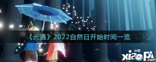 光遇怎么看自己上线具体时间
