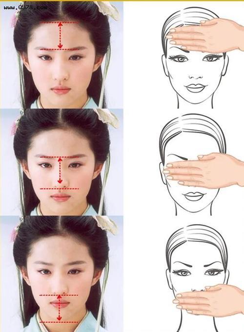 侧面发际线什么样的标准