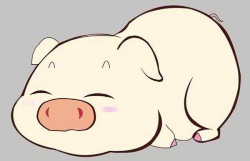 笔下生花打一生肖