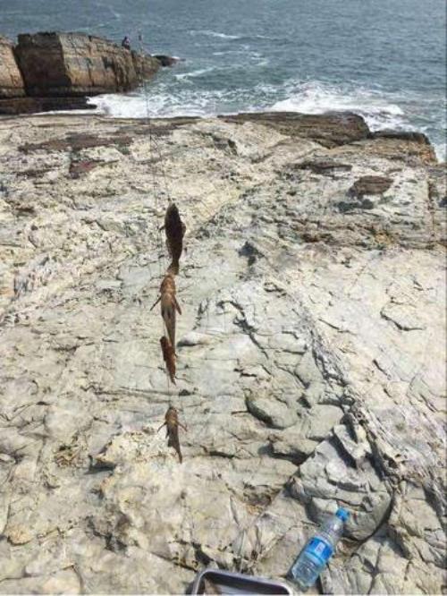 舟山浪岗海钓钓多深