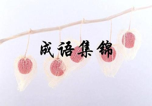 掩什么资什么的成语