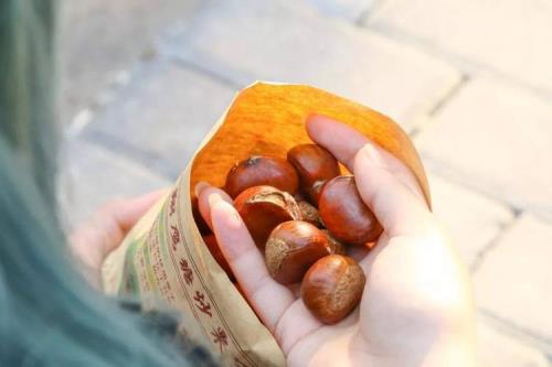 南方人吃栗子吗