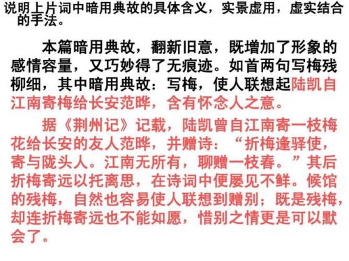 摸鱼儿借用了哪些典故
