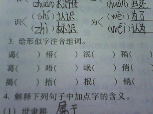 似的和似怎么分别