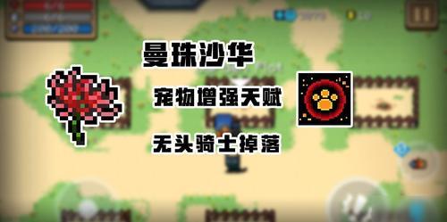元气骑士怎么种子最好