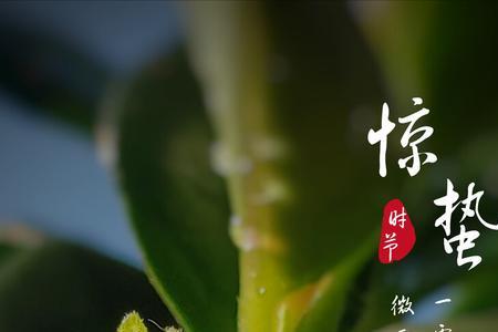 春天三月雷结局