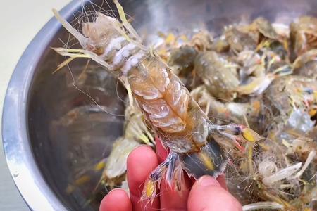 虾多大会脱壳