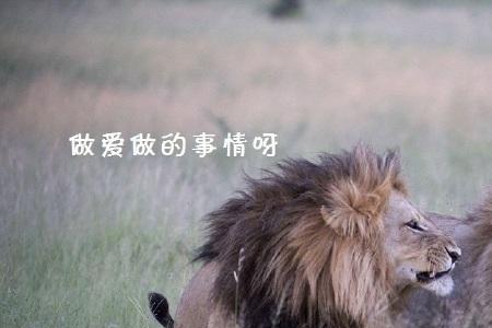 一天不给狮子男回复消息会怎样