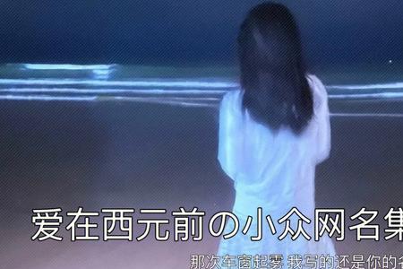 爱与海网名什么意思