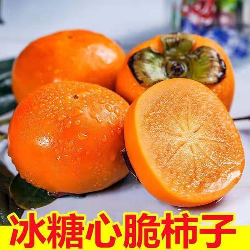 巧克力脆柿是什么品种