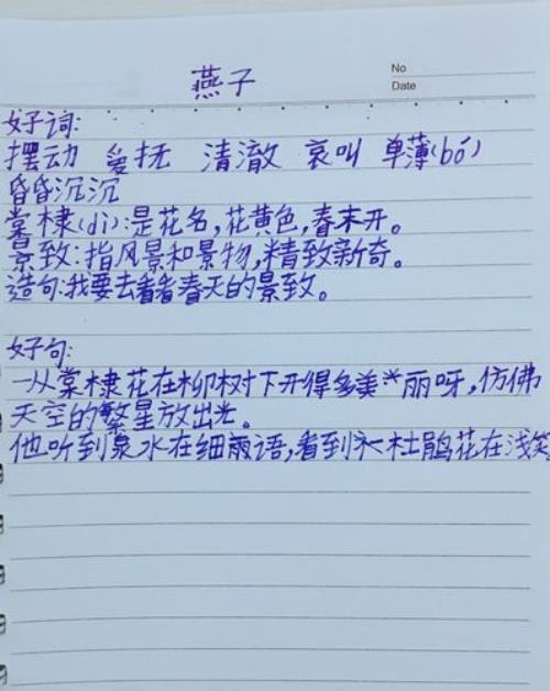 燕子的忠告读后感