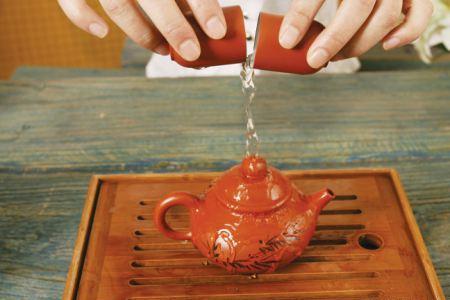 福鼎白茶适合蒸茶还是煮茶