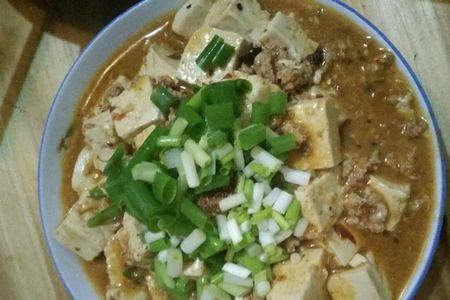 内蒙肉炒豆腐的家常做法