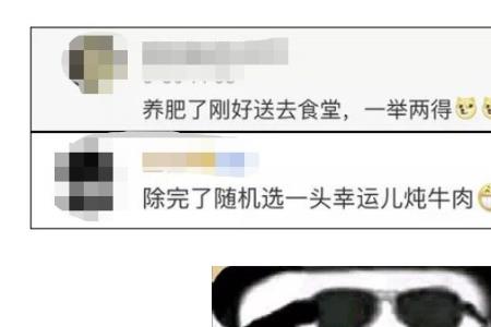 等待时机是什么意思
