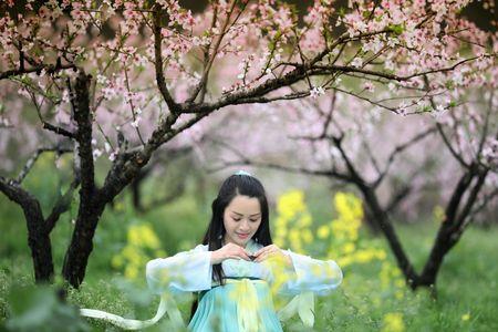 一世桃花梦什么意思