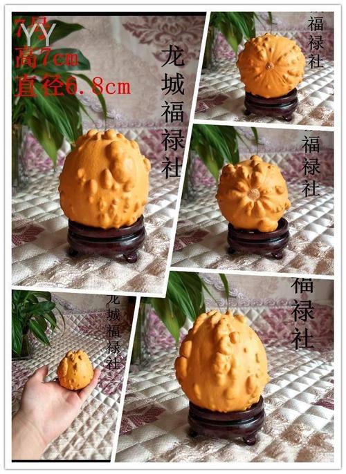 墨西哥葫芦是什么