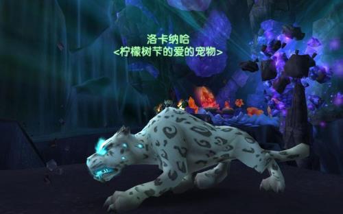 灵魂兽洛卡纳哈刷新规律