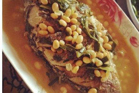 生黄豆可以喂鲫鱼吗