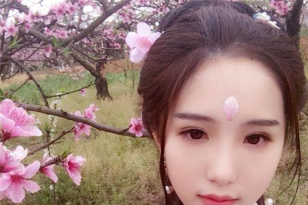 眸顾的意思