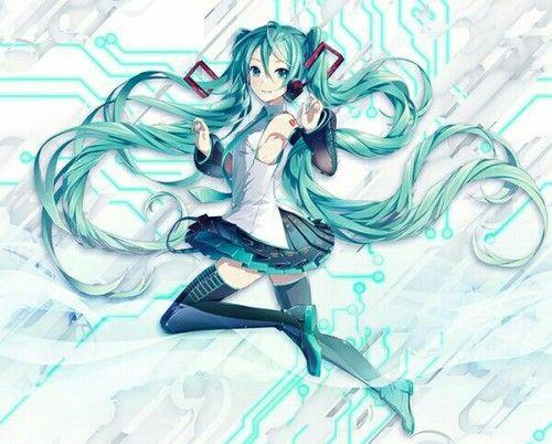 初音未来的哥哥叫什么名字