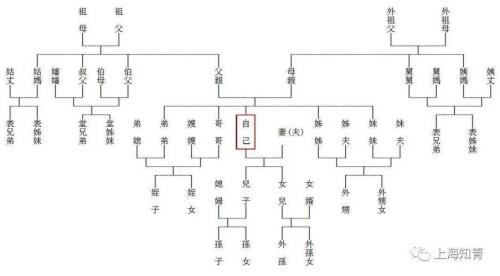 前丈人怎么称呼