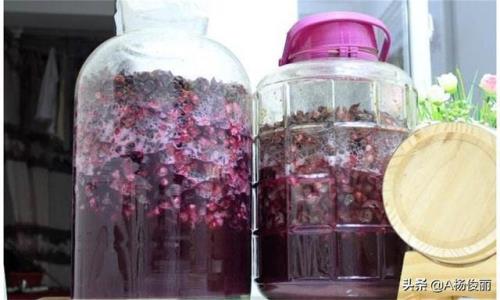 白酒做法自酿全过程