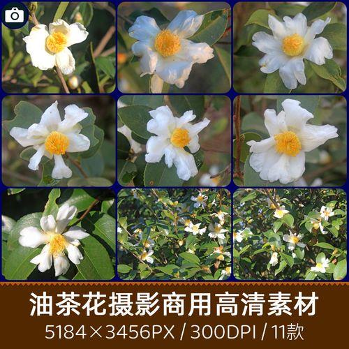 dpi300的照片怎么调