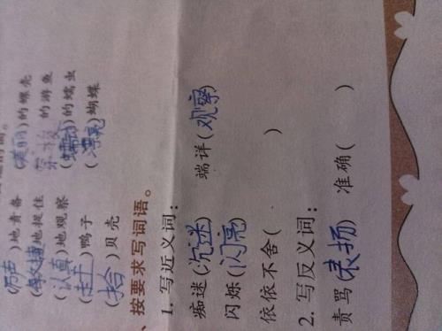 布满近义词