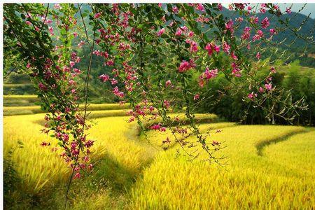 九月二十一是什么季节