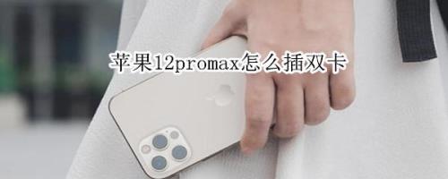 苹果14pro max双卡双待怎么设置
