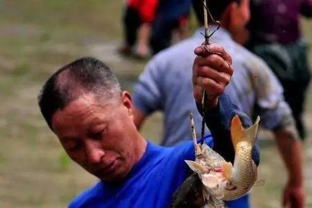抓鱼抓哪个部位容易养