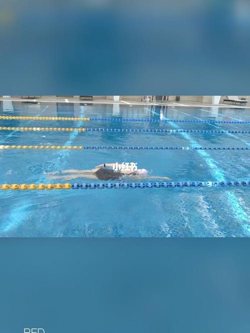 什么是自由泳的拖肘